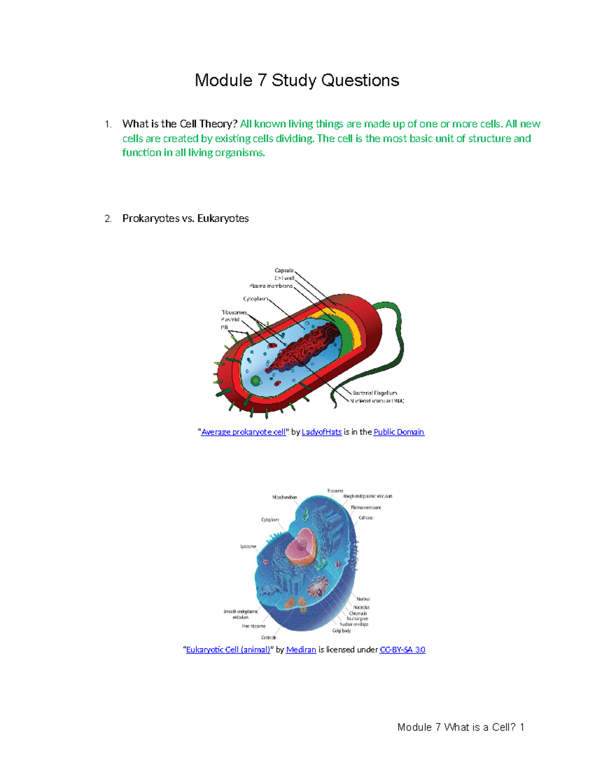 Biology - Module 7 Study Guide - Module 7 Study Questions 1. What is ...