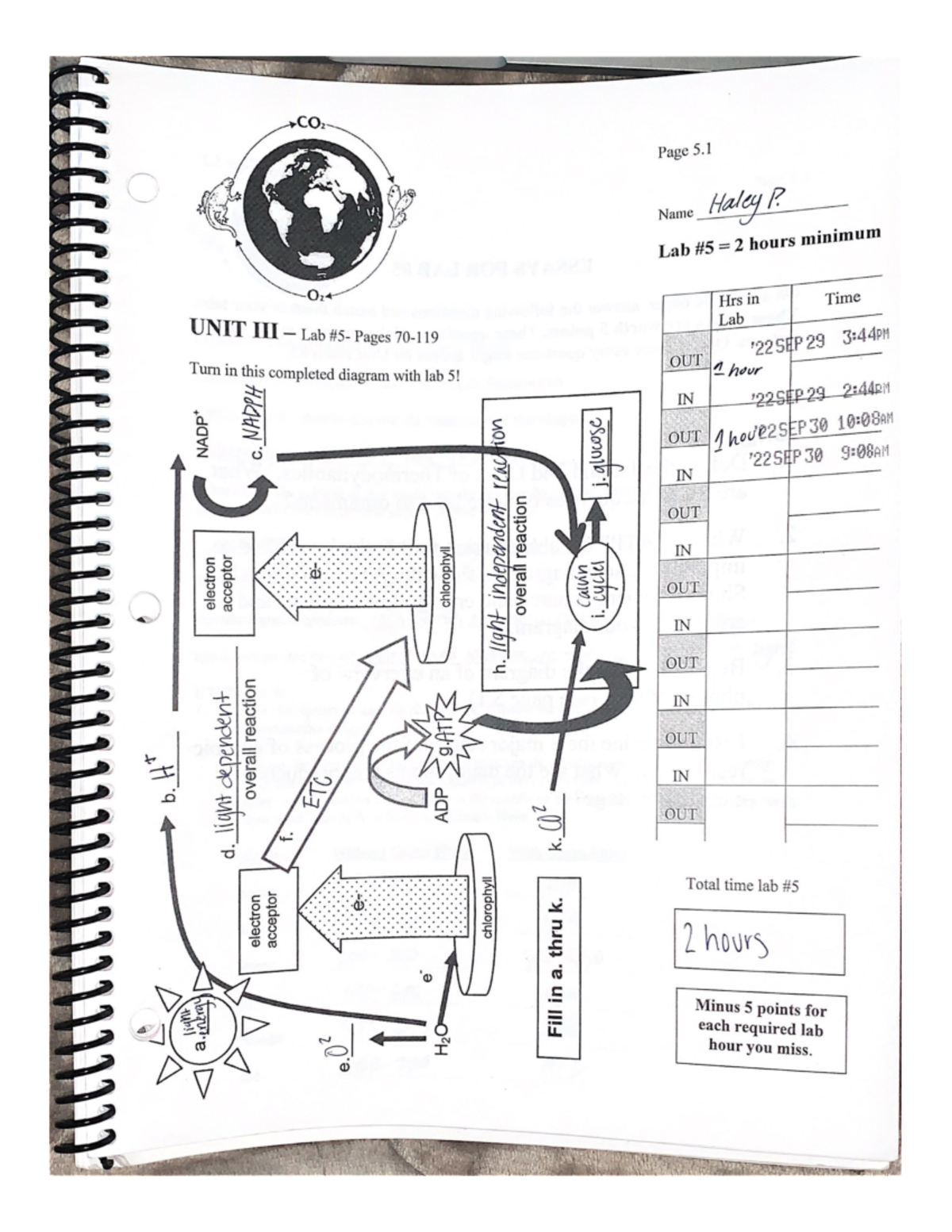 Page 5.1 2 - lab work - BIO 211 - Studocu