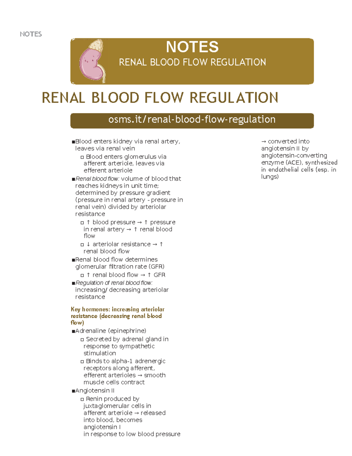 Renal blood flow regulation-1 - RENAL BLOOD FLOW REGULATION NOTES osms