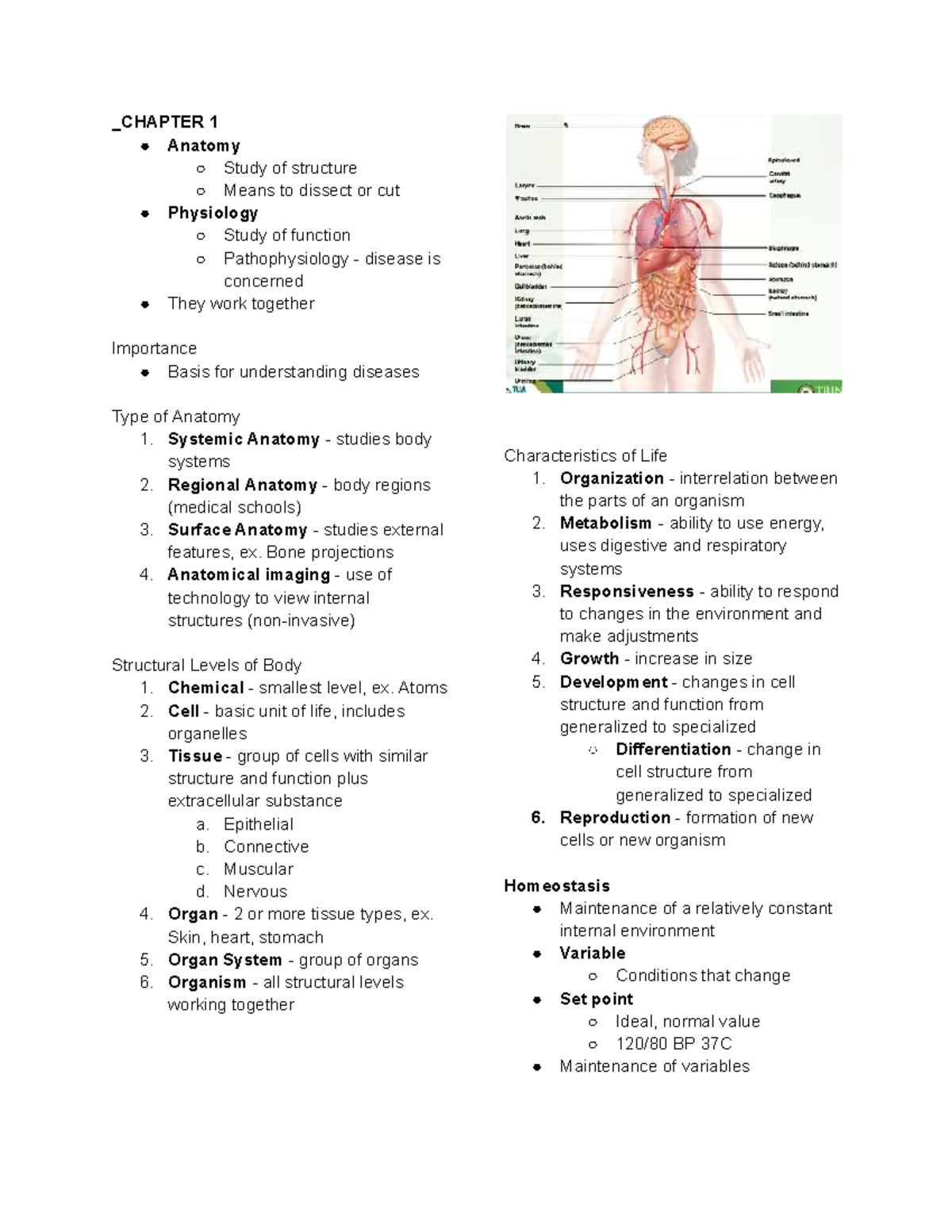 Anaphy 1st Year Lecture Notes -  Chapter 1 Anatomy Study Of Structure 