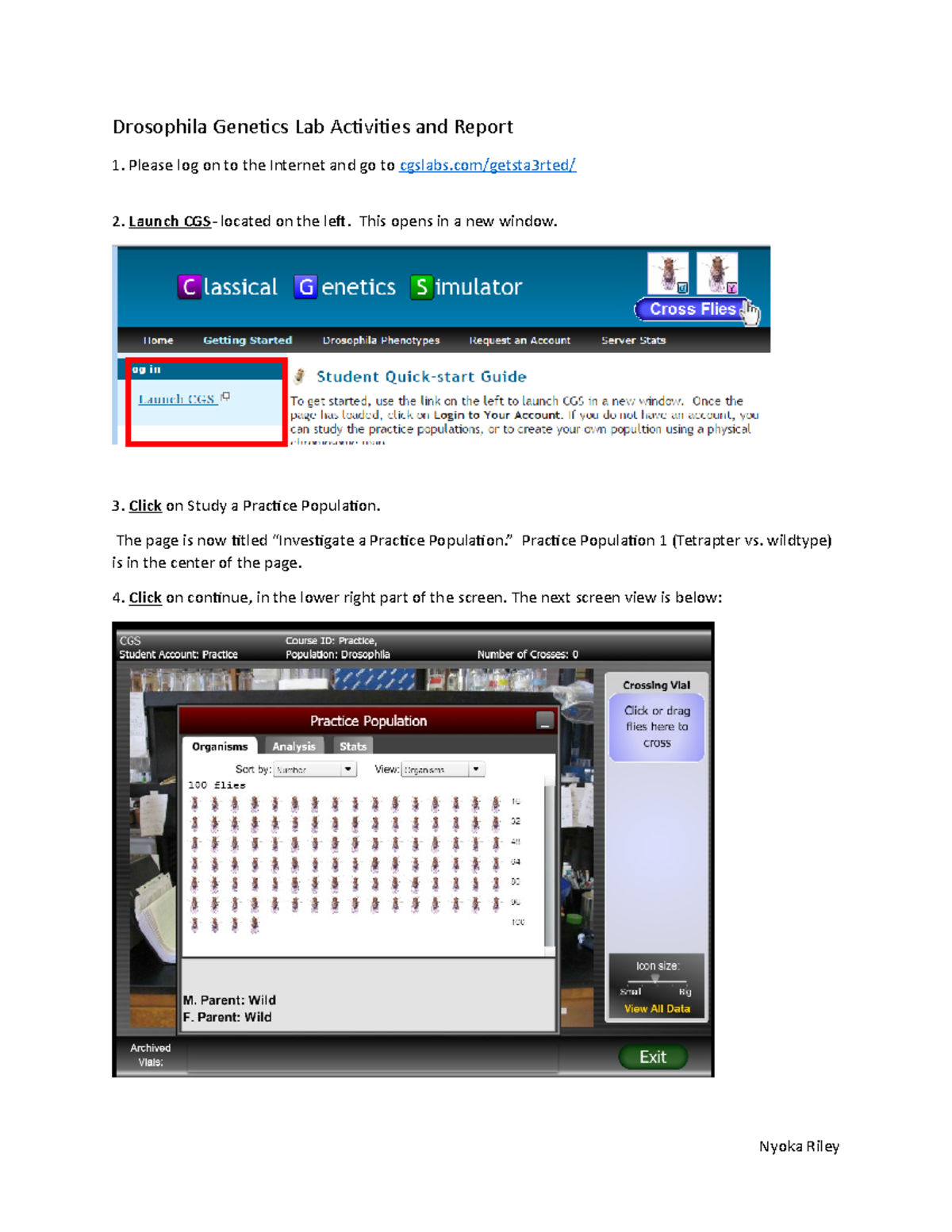 Drosophila Lab Activities and Reportunit 9 Drosophila