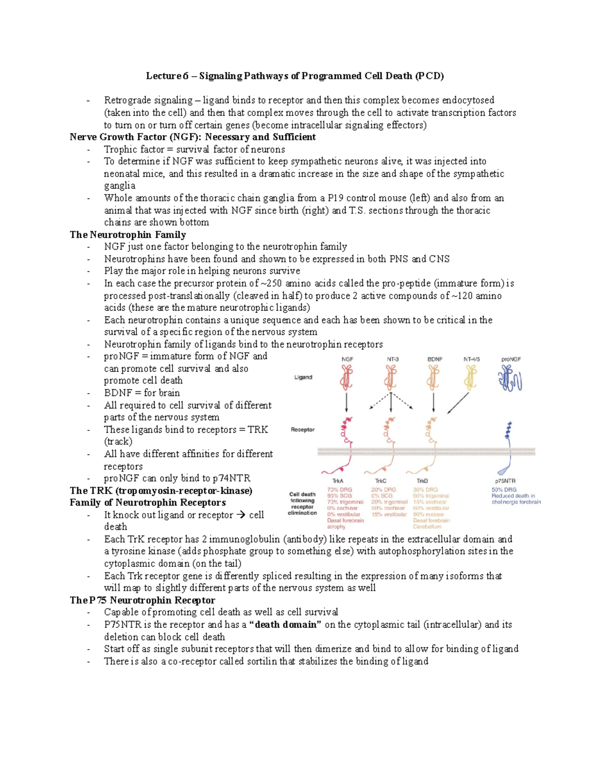 Lecture 6 - Lecture 6 – Signaling Pathways of Programmed Cell Death ...