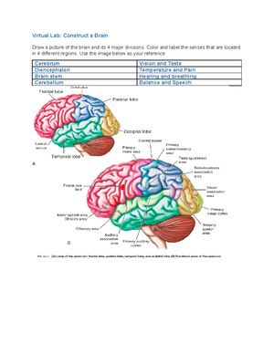 AHP106 Wk4 Assignment (1) - Chapter 15: Blood Review Your Knowledge ...