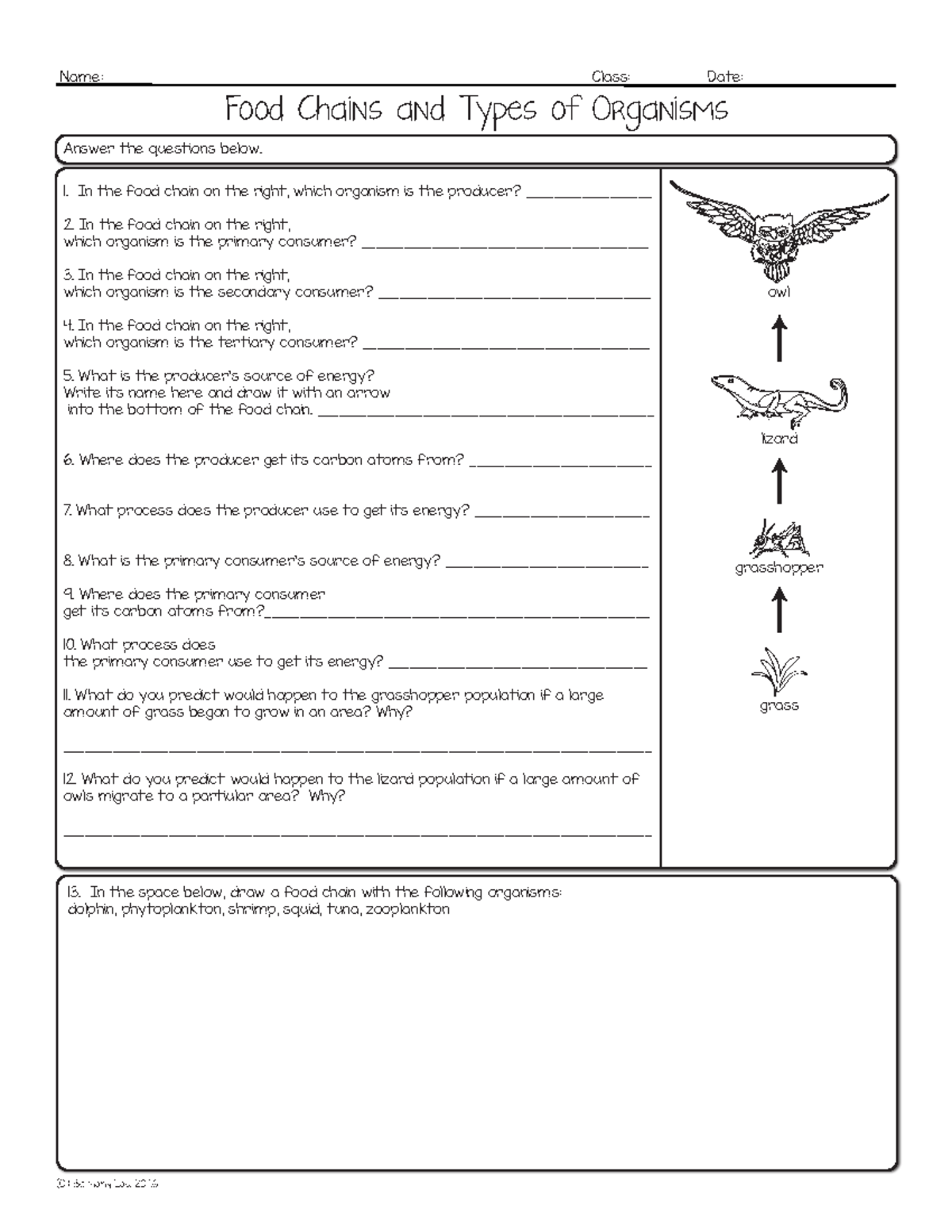 02. Food Chains and Types of Organisms WS - Name: Class: Date: (C ...