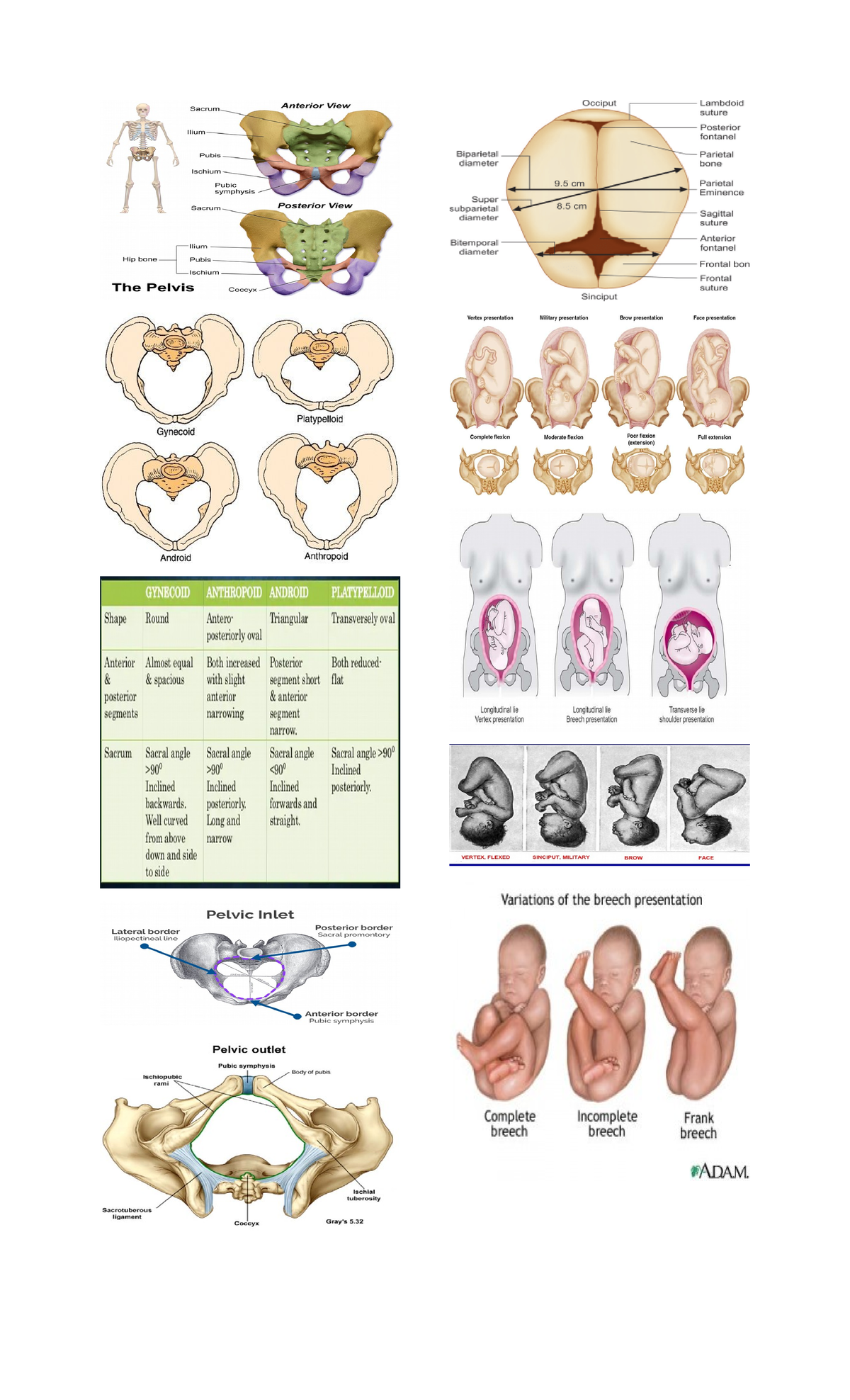 Pics-mchn - notes - nursing - Studocu