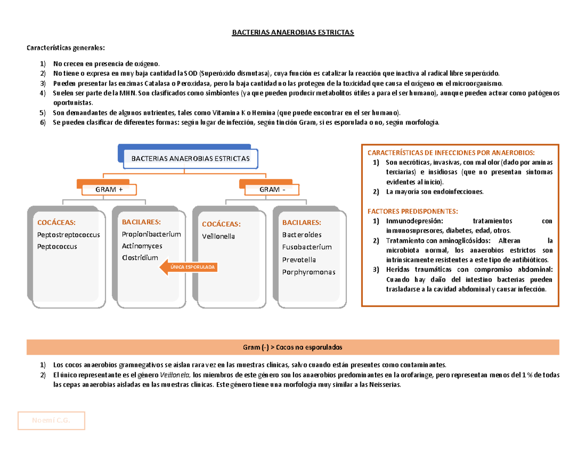 clasificacion de las bacterias anaerobias