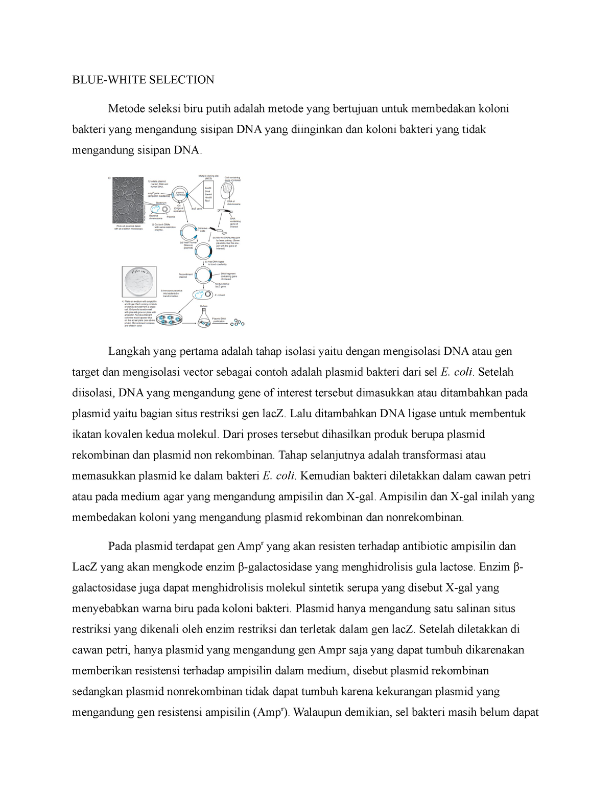 tugas-2-bioteknologi-blue-white-selection-blue-white-selection-metode