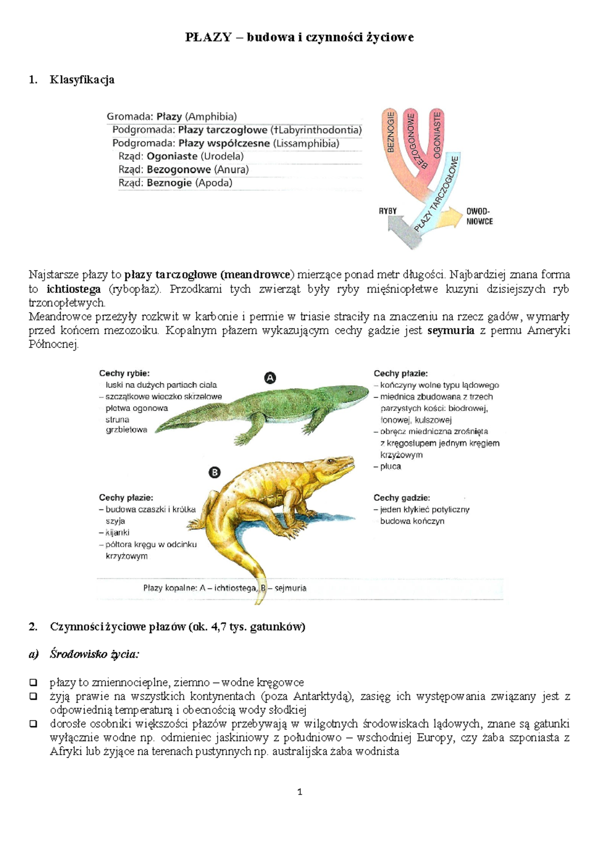 PŁAZY budowa i czynności życiowe - Klasyfikacja Najstarsze płazy to ...