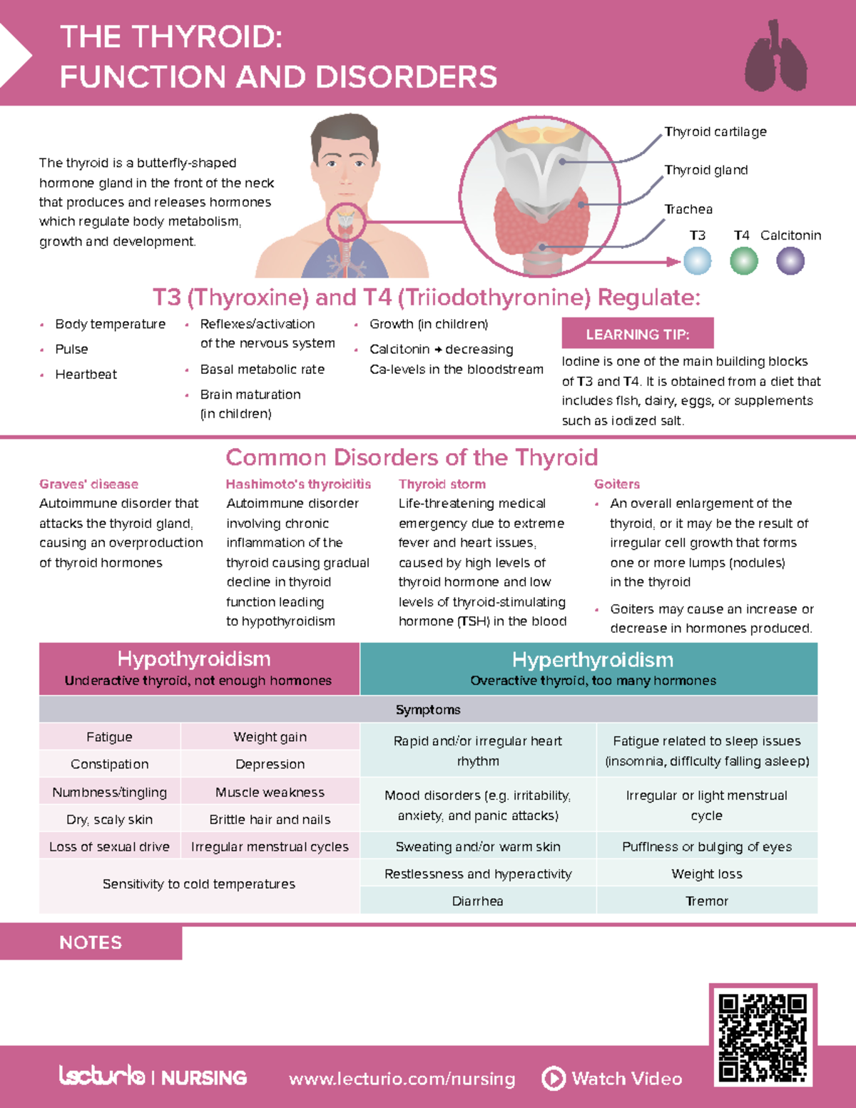 Nursing CS The-Thyroid-Function-and-Disorders 04 - Rapid and/or ...
