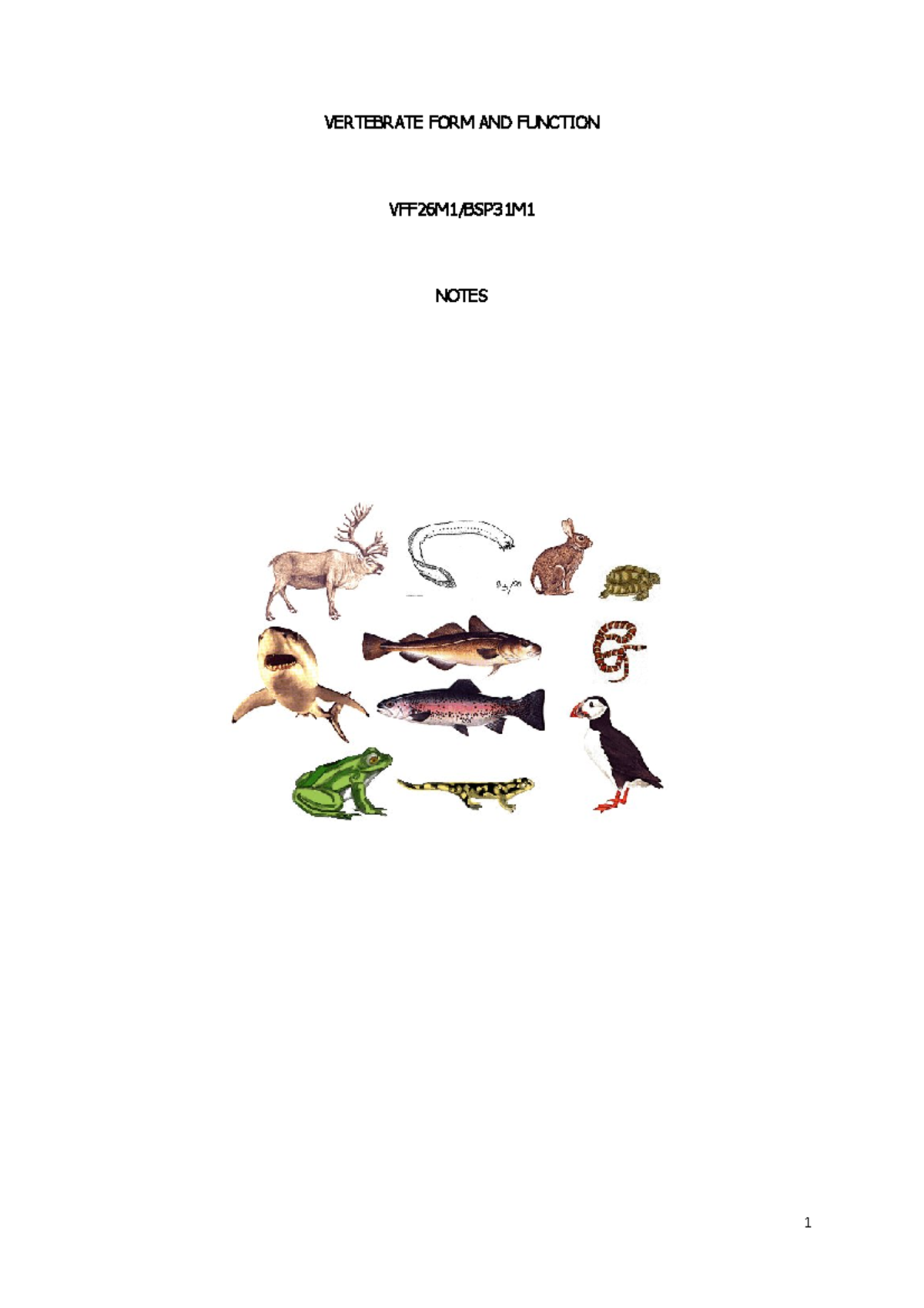From the Supporting tissue to the Head Skeleton - VERTEBRATE FORM AND ...