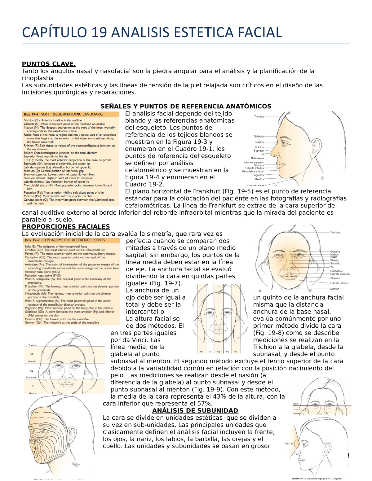 CapÍtulo 19 EstÉtica Análisis Facial CapÍtulo 19 Analisis Estetica Facial Puntos Clave Tanto 