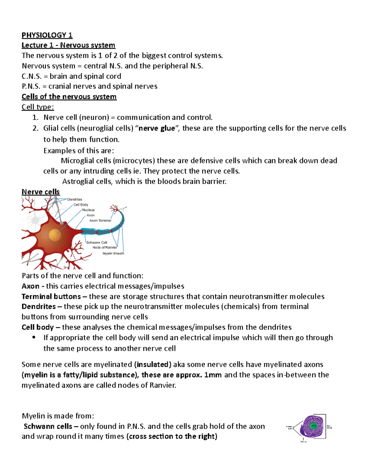 Physiology notes - PHYSIOLOGY 1 Lecture 1 - Nervous system The nervous ...