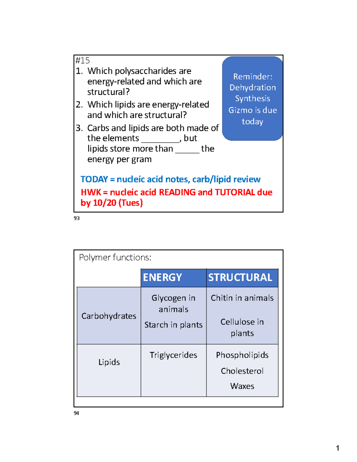 Nucleic+acid+notes++carb-lipid+review+honors - 1. Which polysaccharides ...