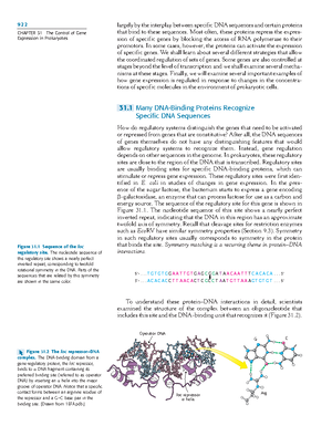 Final Lab Report Format - FINAL LAB REPORT FORMAT: SCIENTIFIC JOURNAL ...
