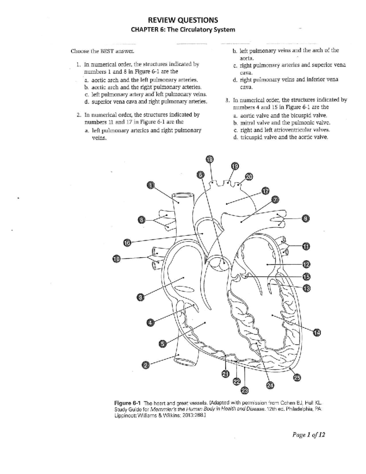 Chapter 6 The Circulatory System - biology - Studocu