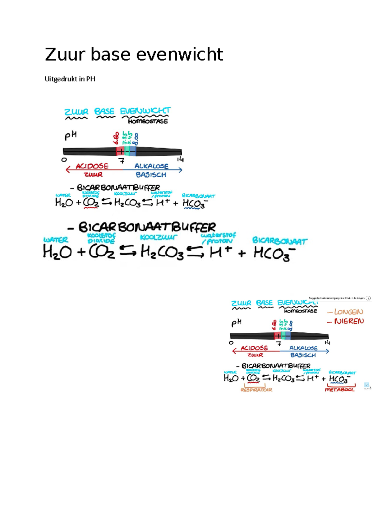 Zuur base evenwicht Zuur base evenwicht Uitgedrukt in PH Achtergrond