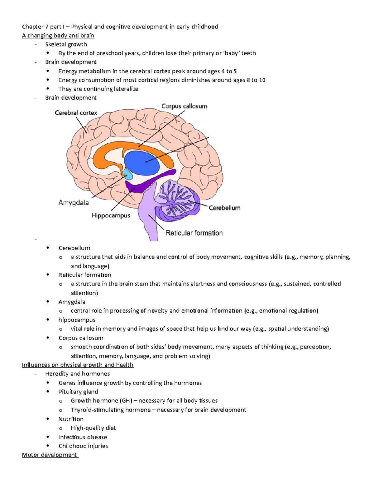 Ch7 Part I Handout - The Physical And Cognitive Development In Early 