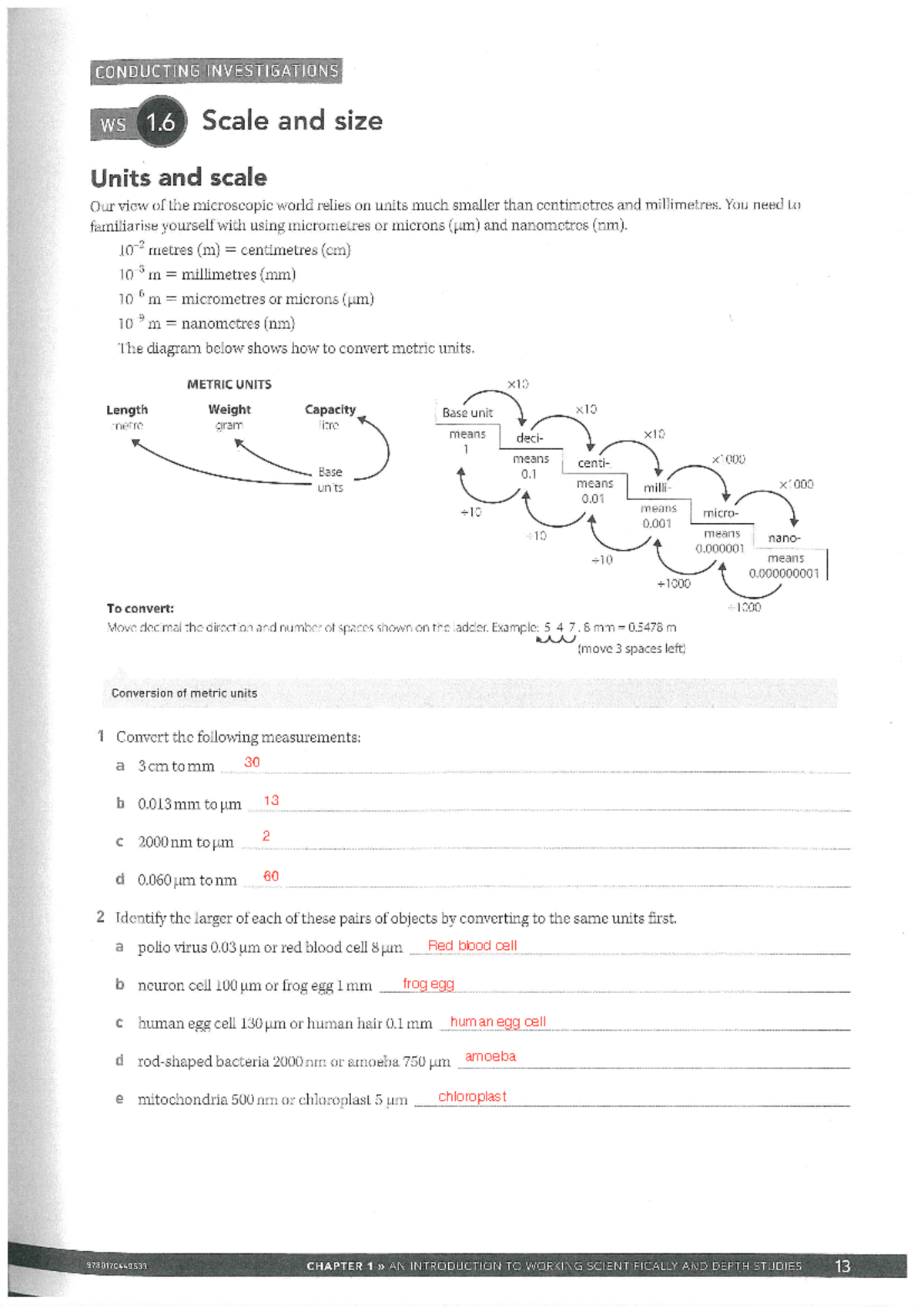 02.Cells Scale and Size Studocu