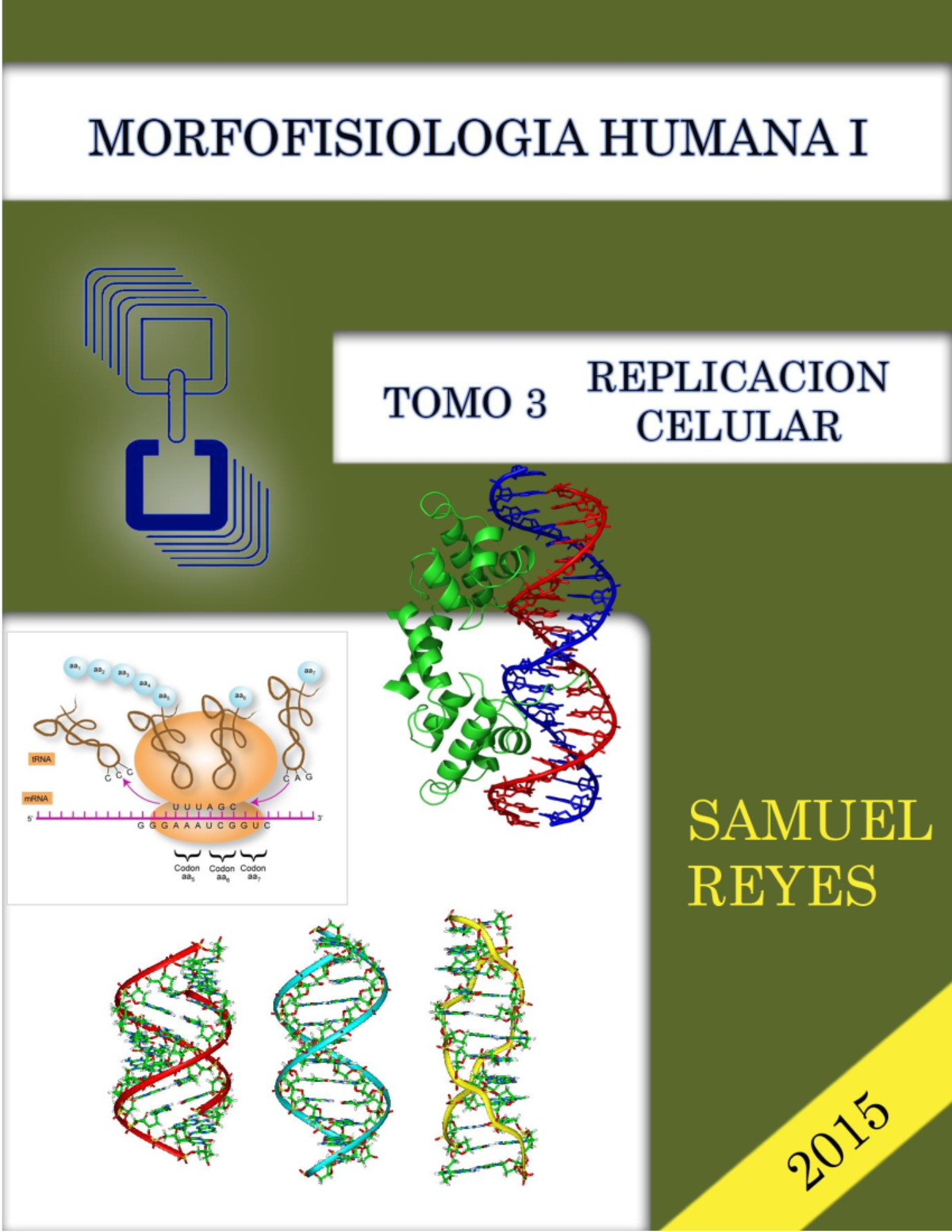 Morfofisiología 1 Unidad III- Samuel Reyes - Morfofisiologia Humana I ...