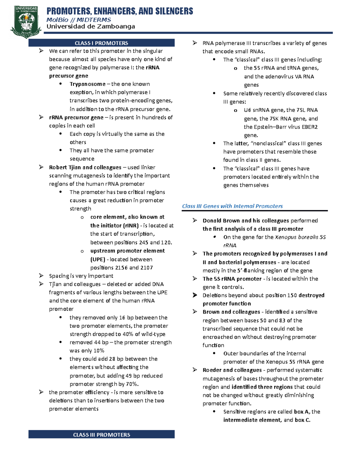 Promoters and Enhancers and Silencers MolBio // MIDTERMS Universidad