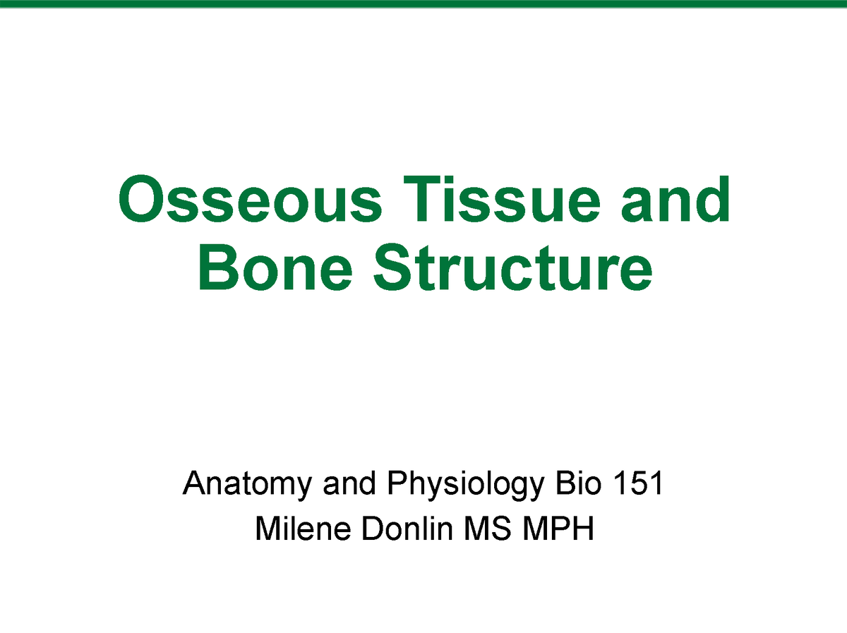 Chapter 6 - Bone Tissue And Structure - Osseous Tissue And Bone ...