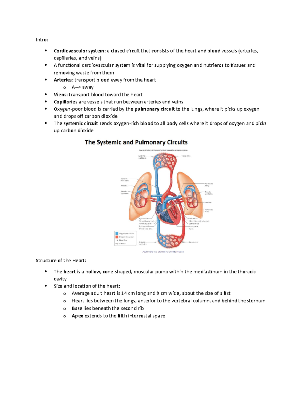 Chapter 13- cardiovascular system - Intro: Cardiovascular system: a ...