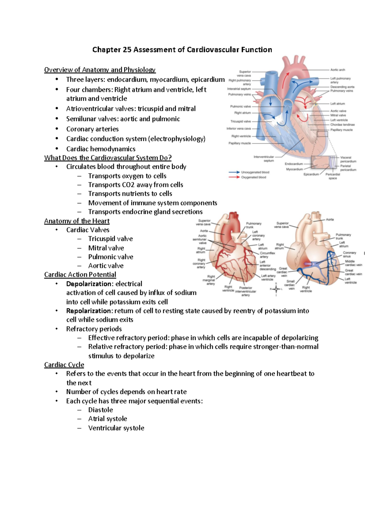 NURS 332 - Med Surg Chapters 25 And 26 - Chapter 25 Assessment Of ...