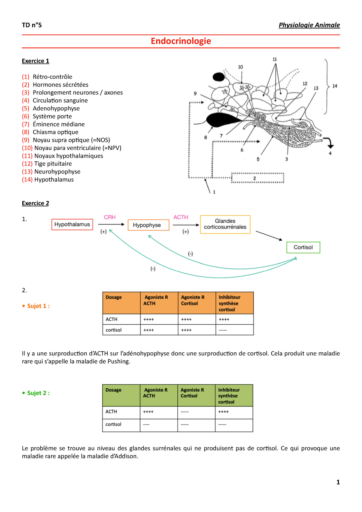 TD N°5 - Endocrinologie / L1 Semestre 2 - Endocrinologie Exercice 1 (1 ...