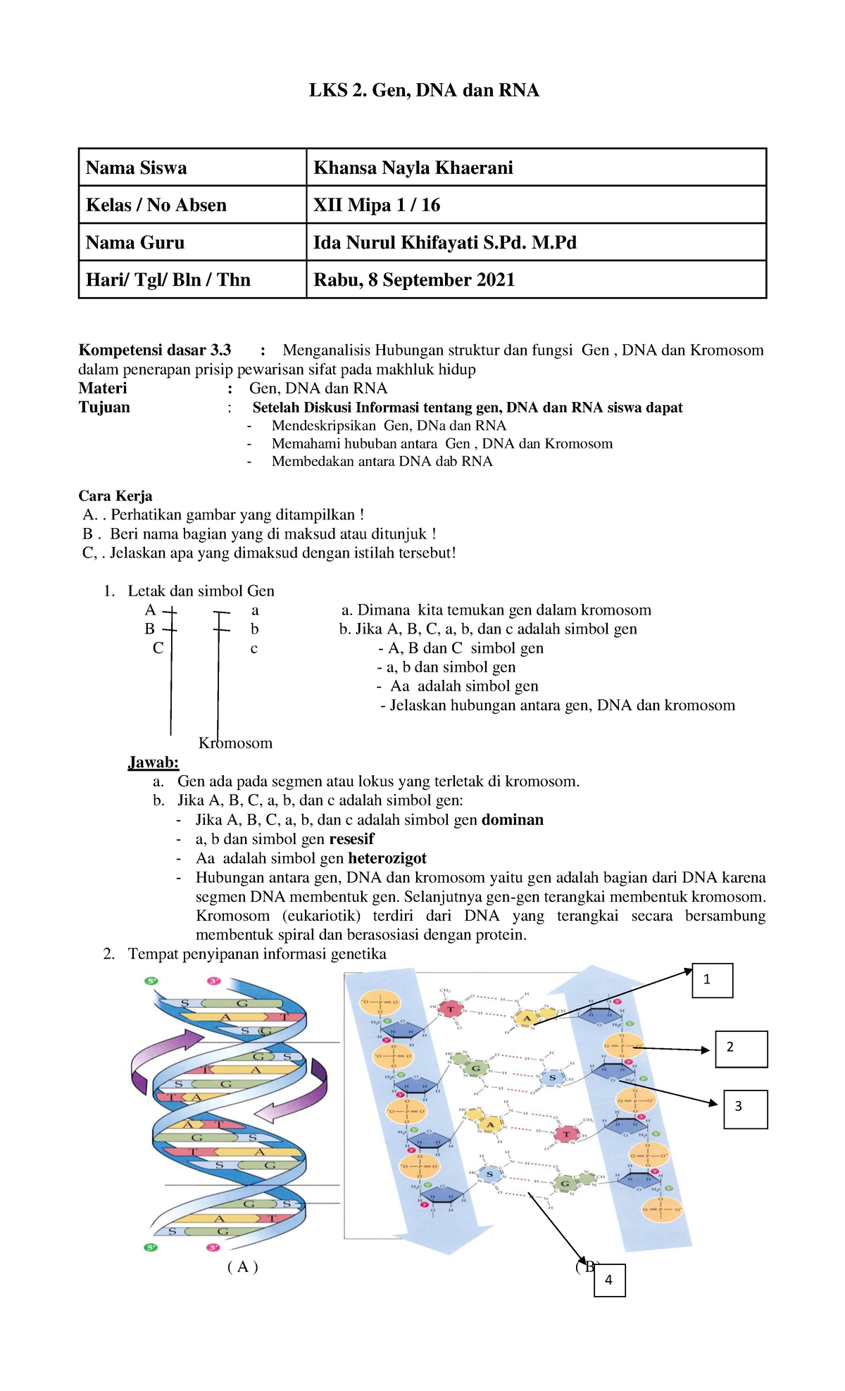 Biologi LKS Gen DNA Dan Kromosom - LKS 2. Gen, DNA Dan RNA Nama Siswa ...