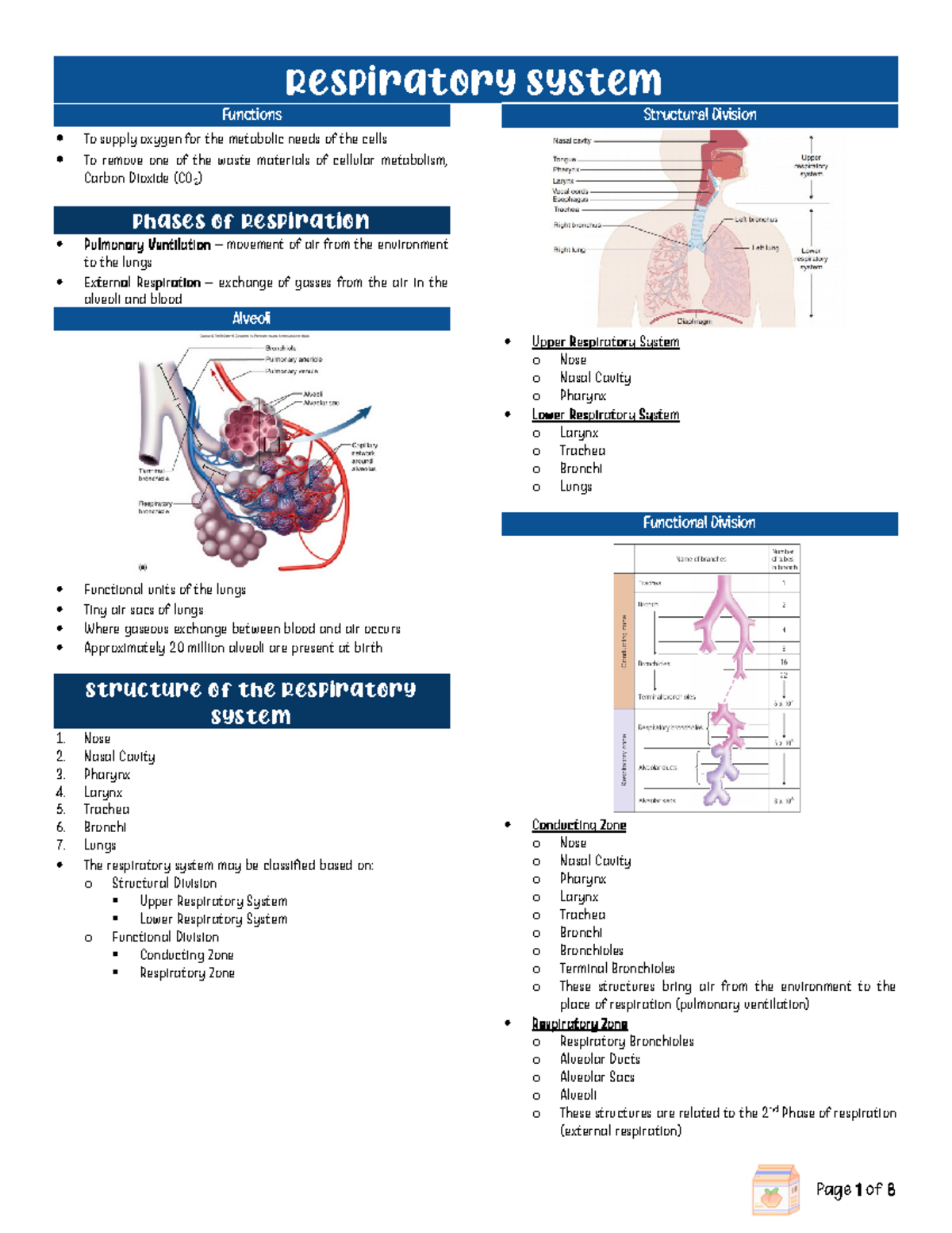 Respiratory System - 101 - Respiratory System Functions To supply ...