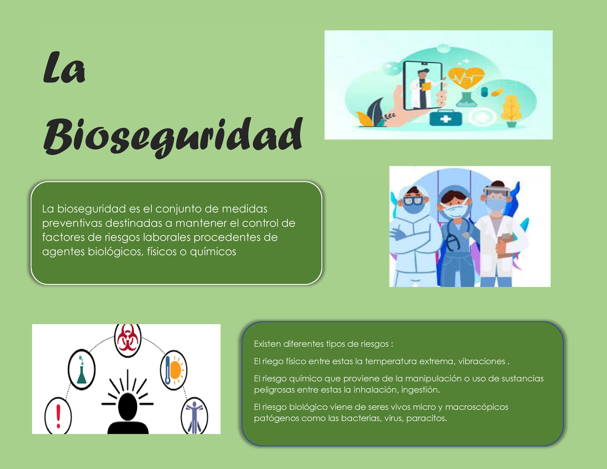 Infografia de protección La Bioseguridad La bioseguridad es el conjunto de medidas preventivas