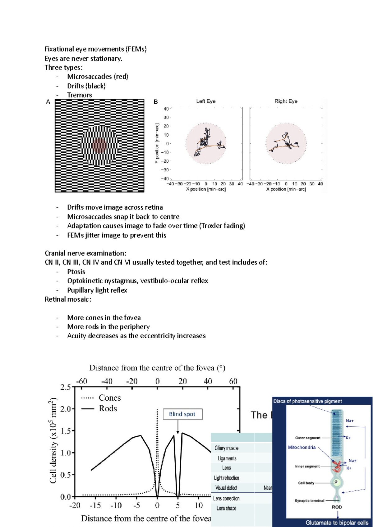 Fixational eye movements Three types Microsaccades (red) Drifts