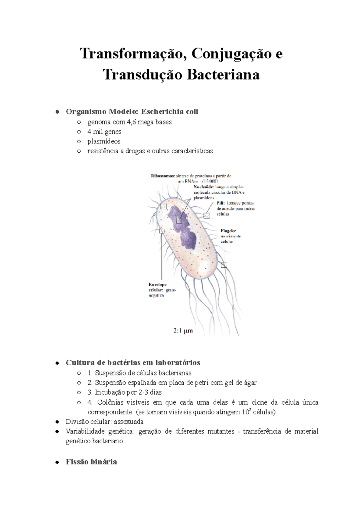 P3 - biologia molecular - Transformação, Conjugação e Transdução ...