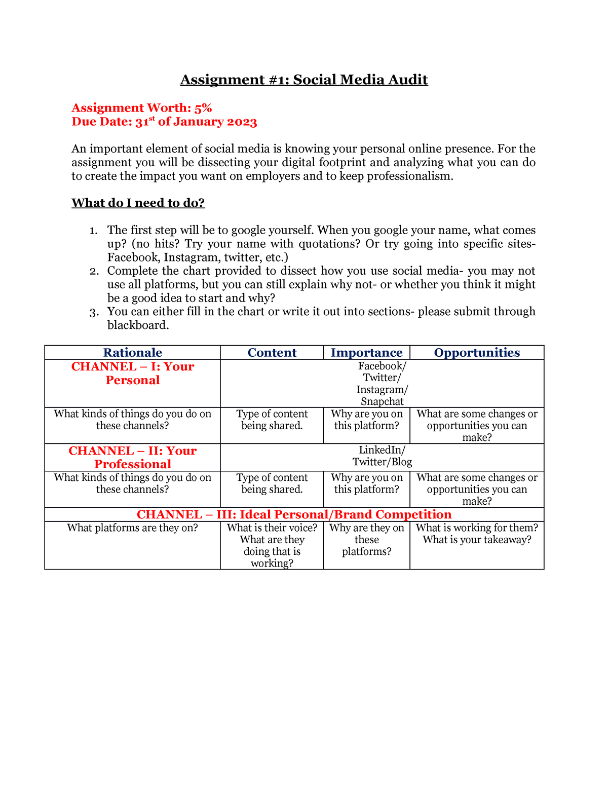 social media audit assignment