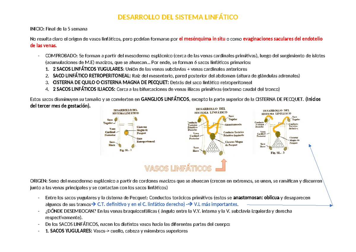 Desarrollo del Sistema Linfático Embrio - DESARROLLO DEL SISTEMA