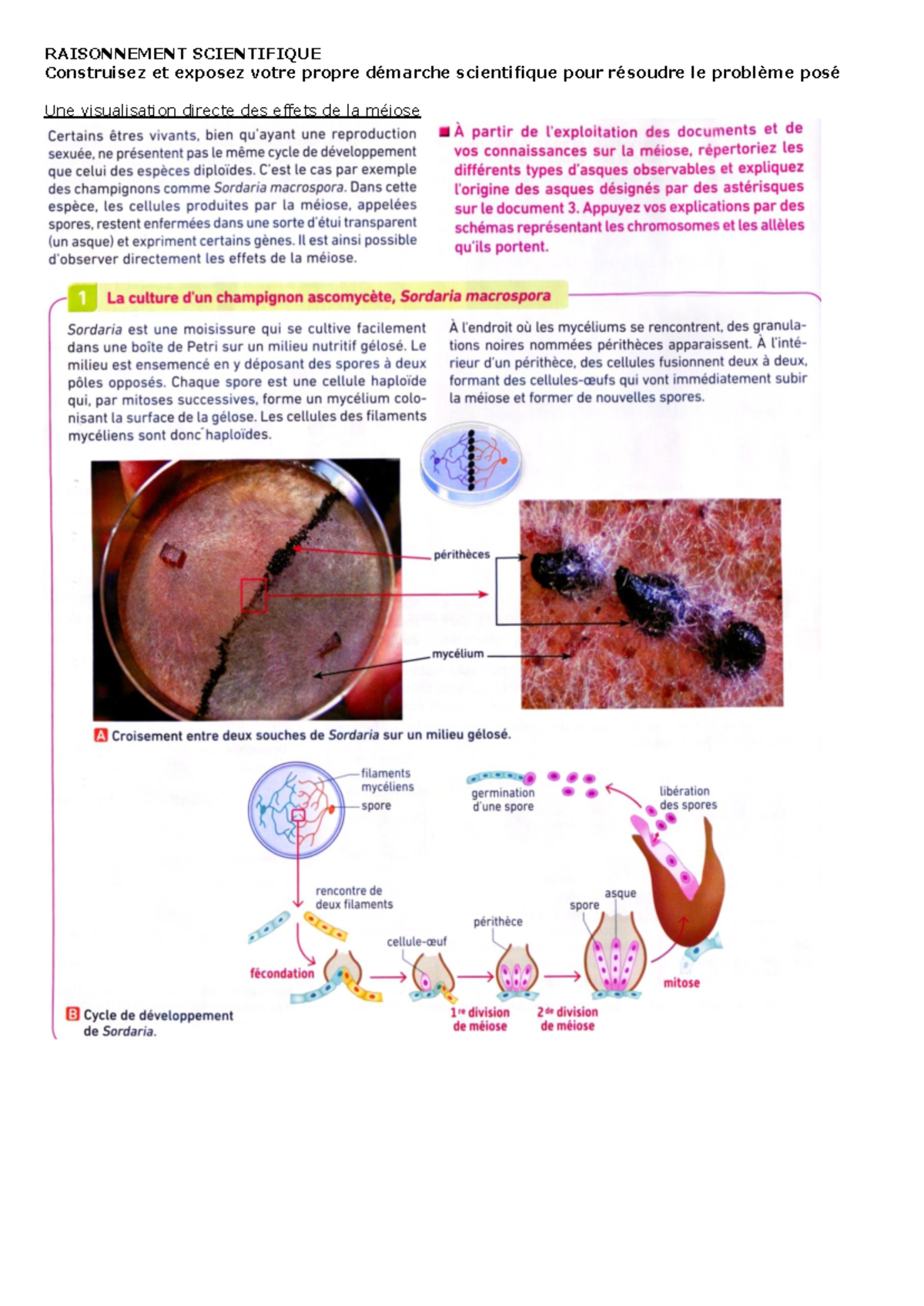 TT1A chap1 DM asques - Biologie des systèmes - RAISONNEMENT ...
