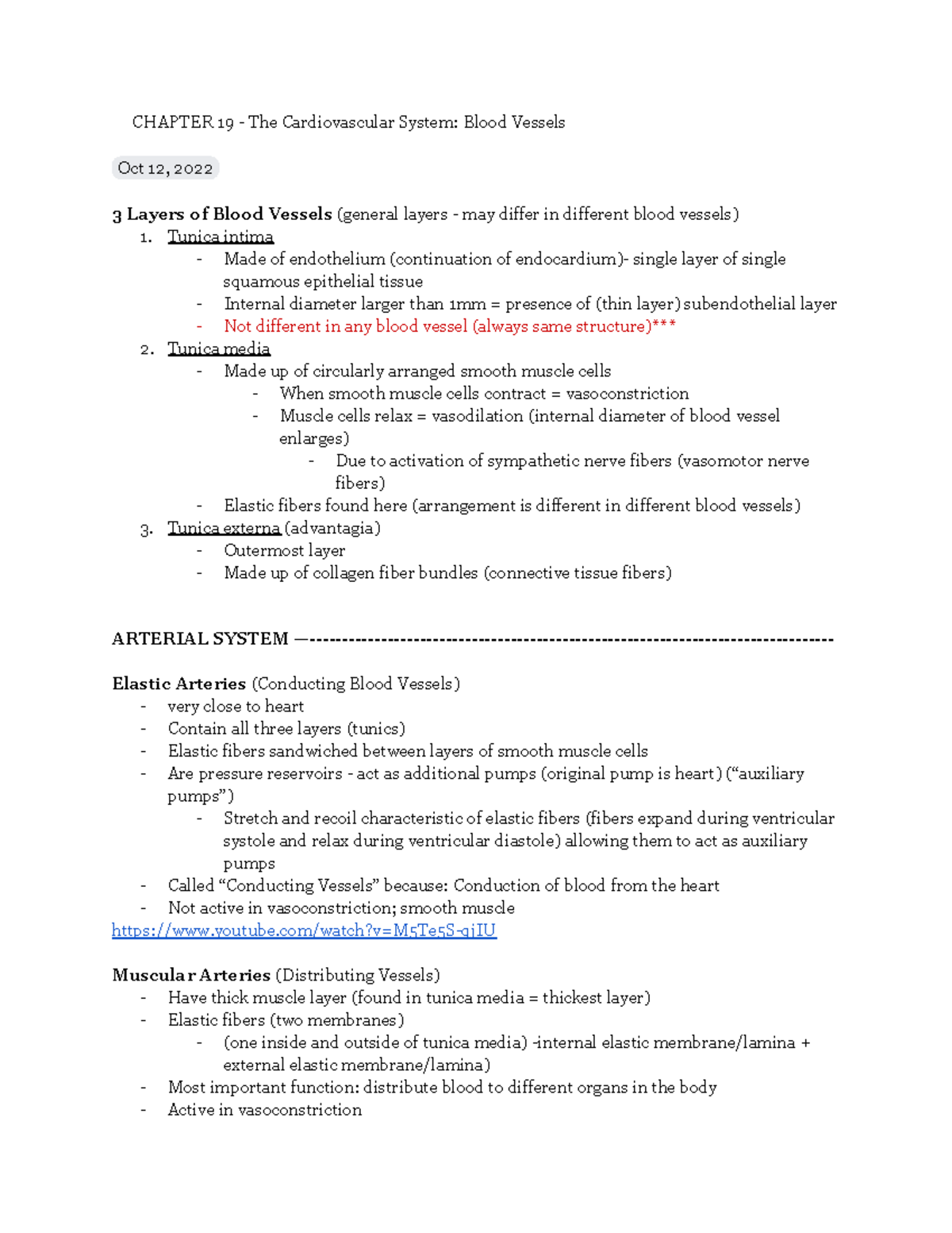 Chapter 19: The Cardiovascular System - Blood Vessels - CHAPTER 19 ...