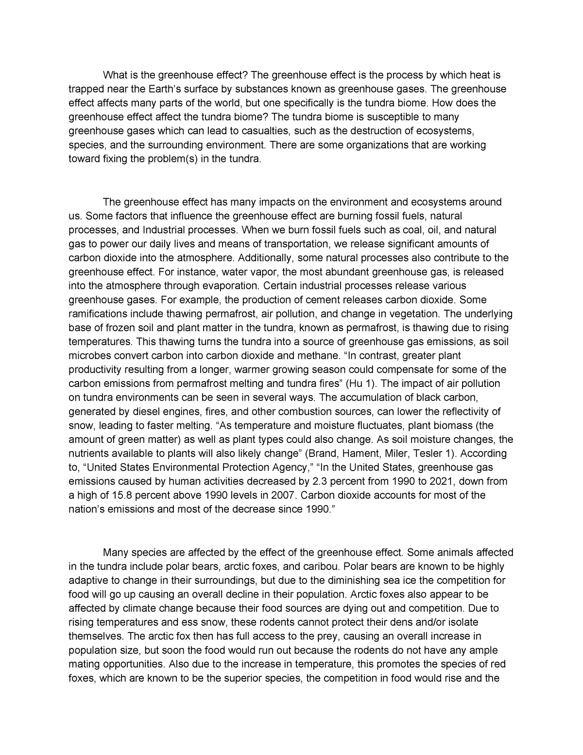 Human Impact Project - Biology - What is the greenhouse effect? The ...