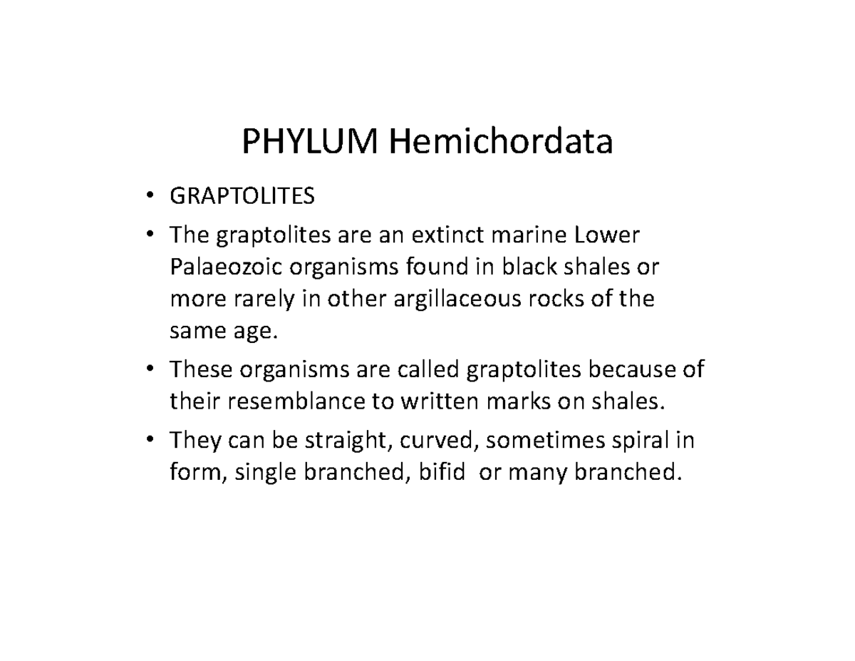 Phylum Hemichordata