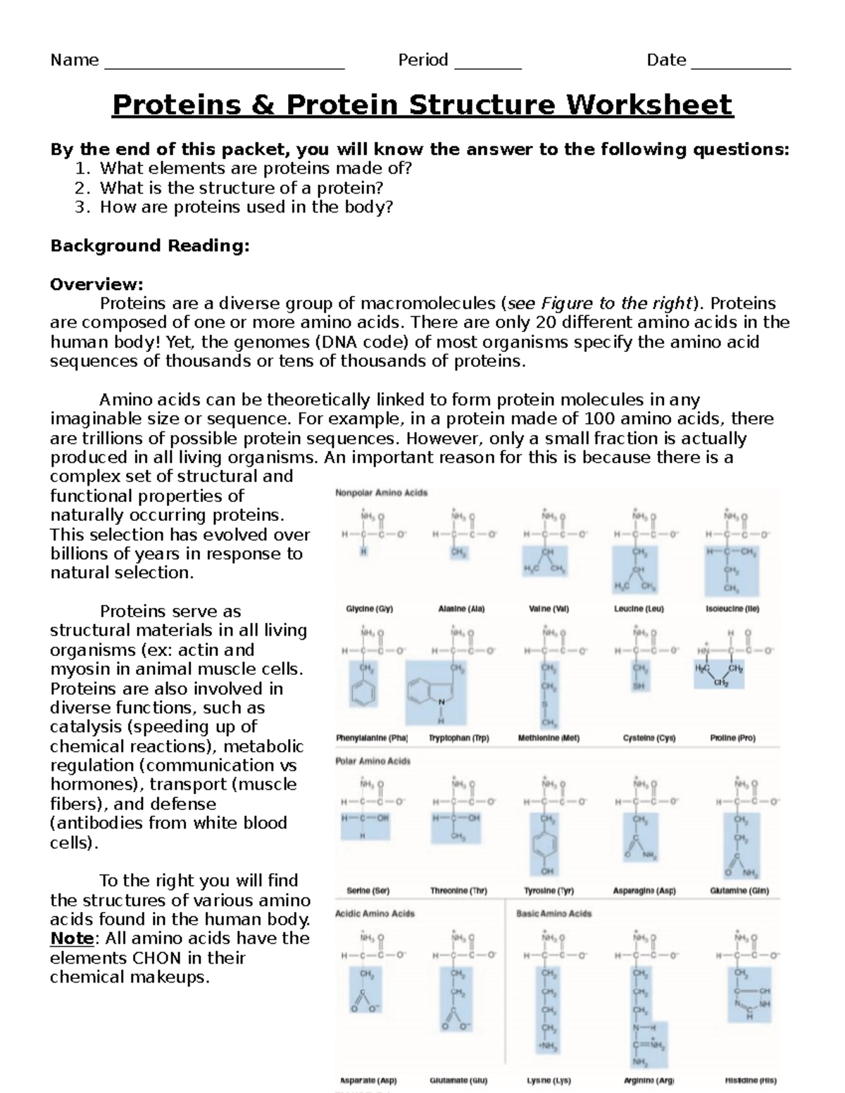 Proteins and Protein Structure Worksheet - Name Period ______ Date - Studocu