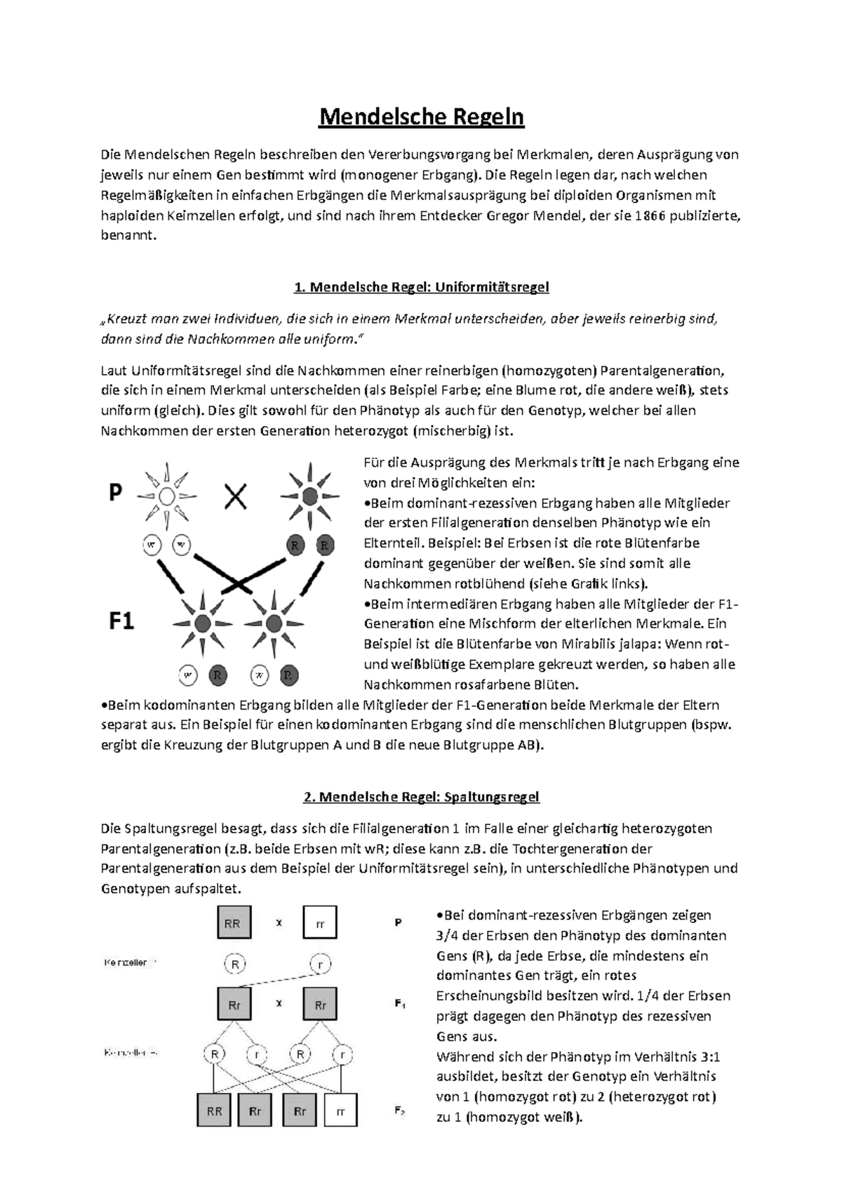 übungen Zu Den Mendelschen Regeln Zytogenetik Mitschriften 2020 - Mendelsche Regeln Die Mendelschen