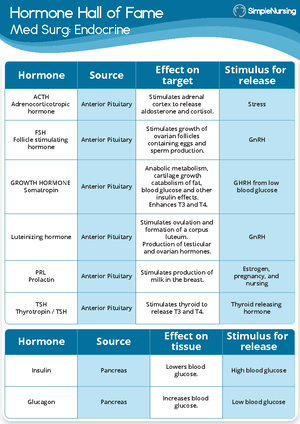 Abnormal lung sounds holistic health - Abnormal Lung Sounds Low pitched ...