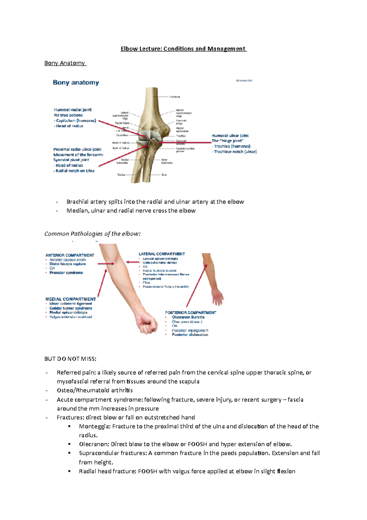 Elbow Lecture - Olecranon: Direct blow to the elbow or FOOSH and hyper ...