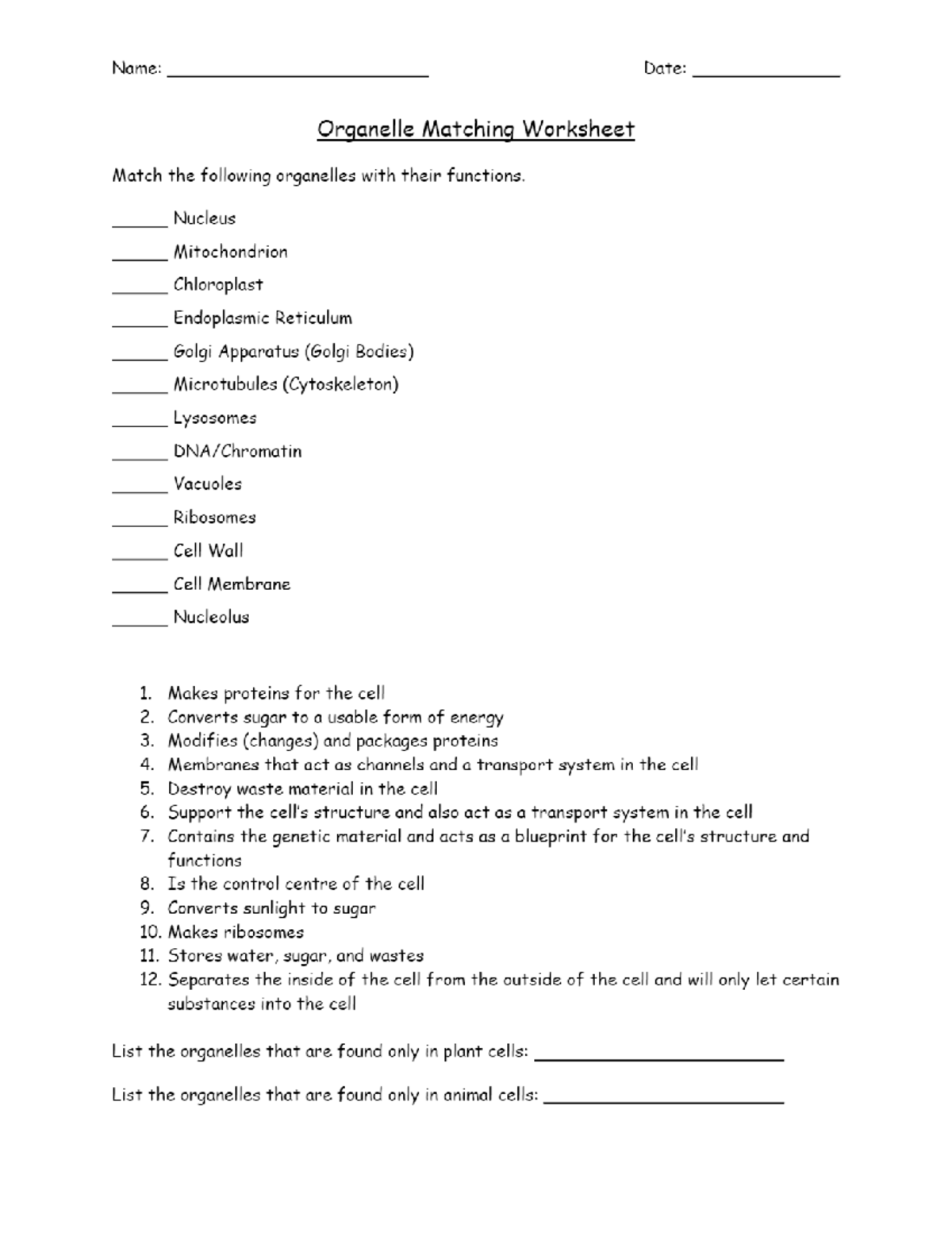 Organelle Matching Worksheet - Bio201 - Studocu