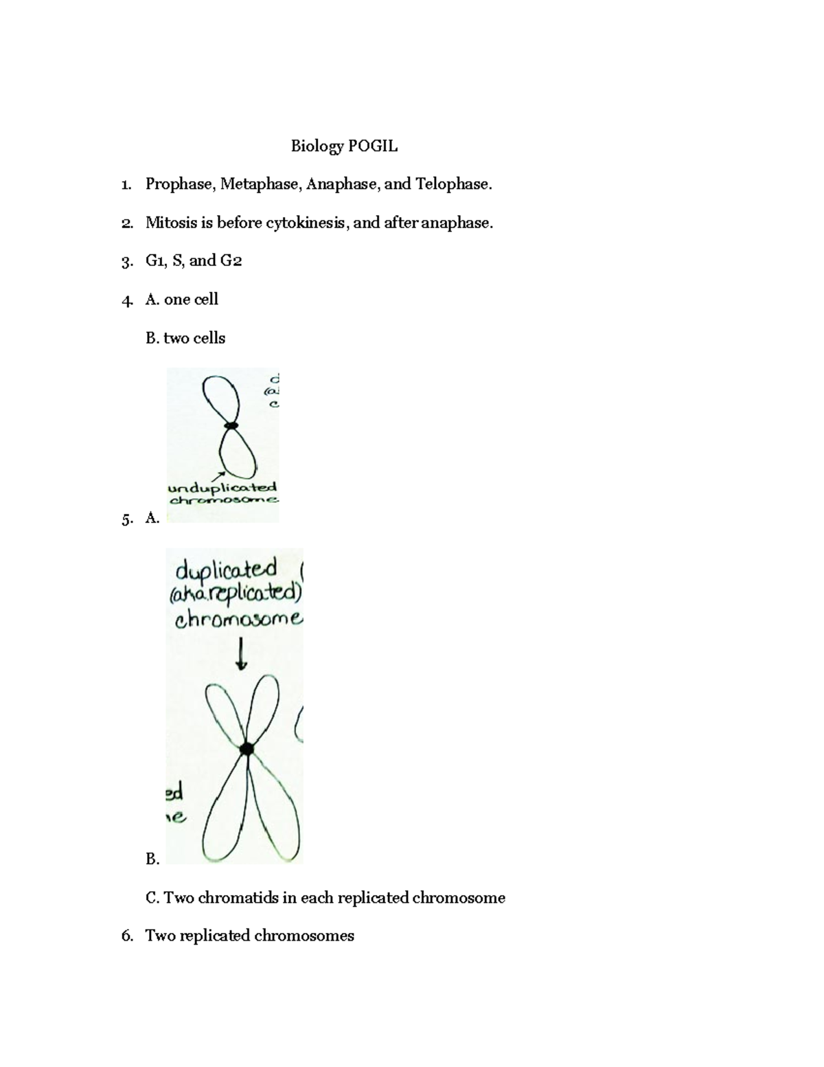 Ch.12 Biology Pogil towson university Biology POGIL Prophase