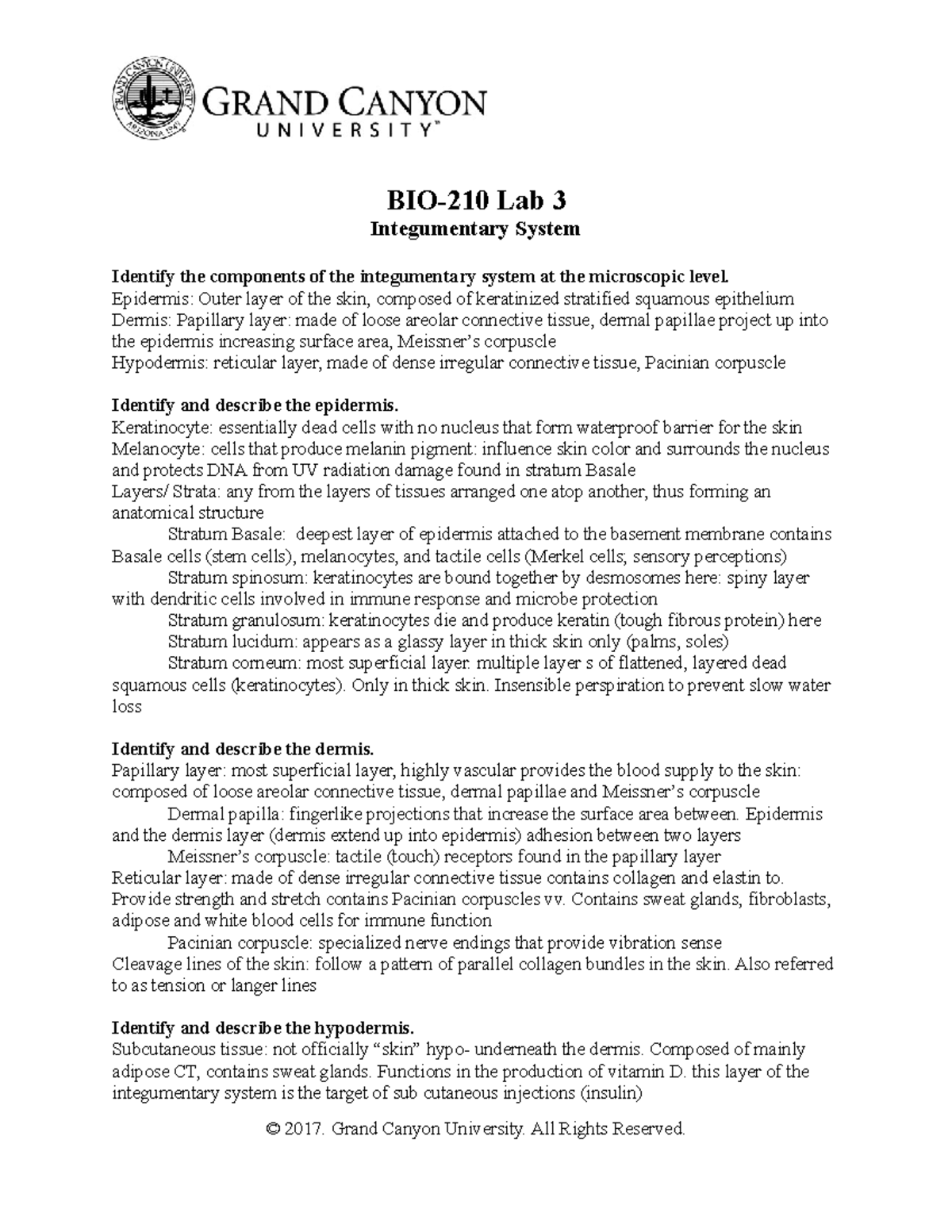 BIO-210L Lab 3 - Integumentary System zoe - BIO-210 Lab 3 Integumentary ...