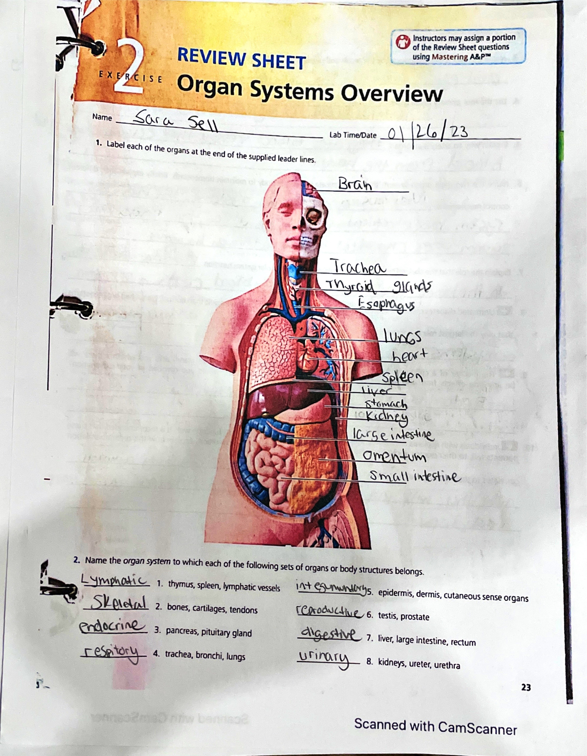 chapter 2 lab hw - BIO 131 - Studocu