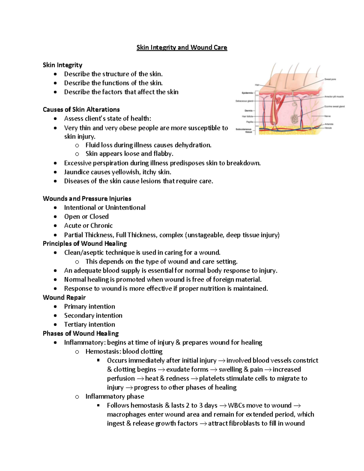 Skin Integrity and Wound Care - Describe the functions of the skin ...