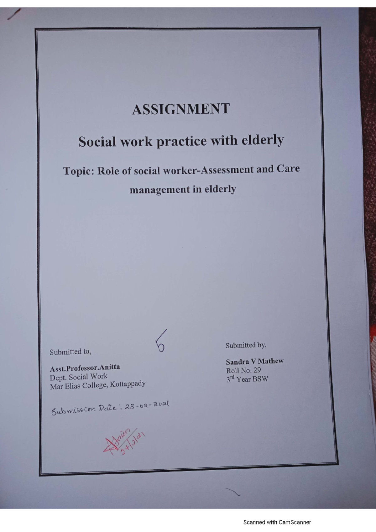 Role of Social worker- Assessment and Care Management in elderly - BSW ...