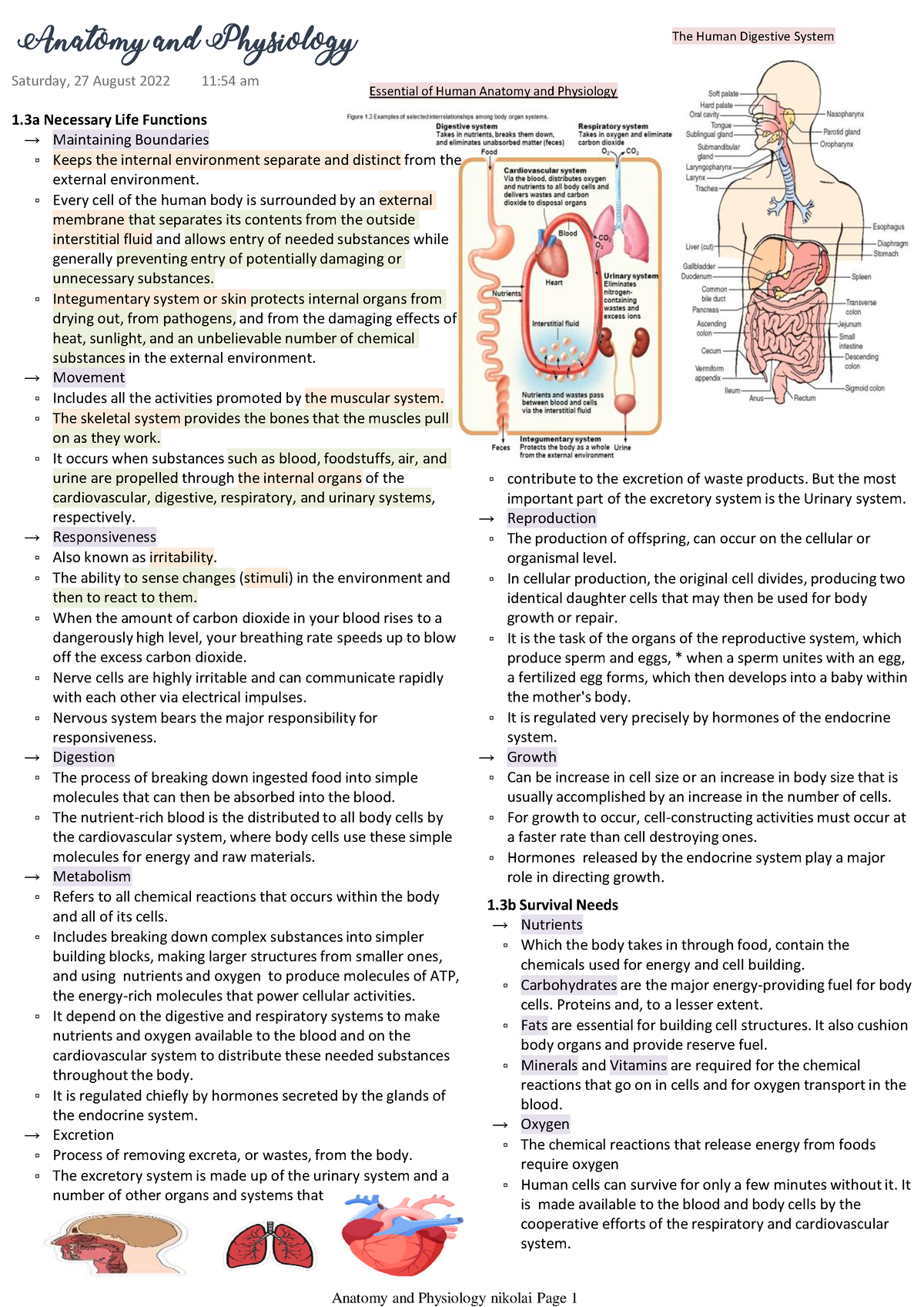 Anatomy and Physiology - → Maintaining Boundaries Keeps the internal ...